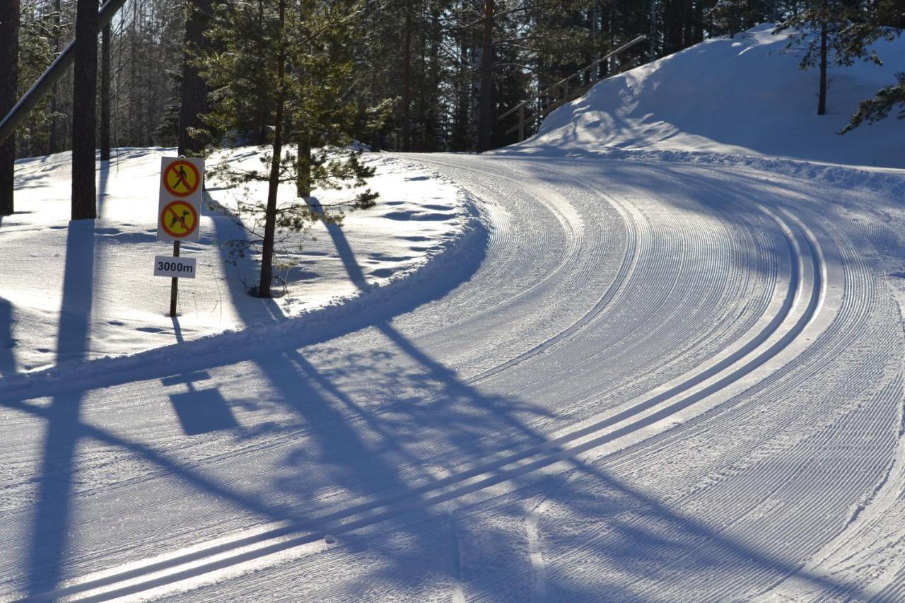 Valentin Cottage Enonkoski ภายนอก รูปภาพ