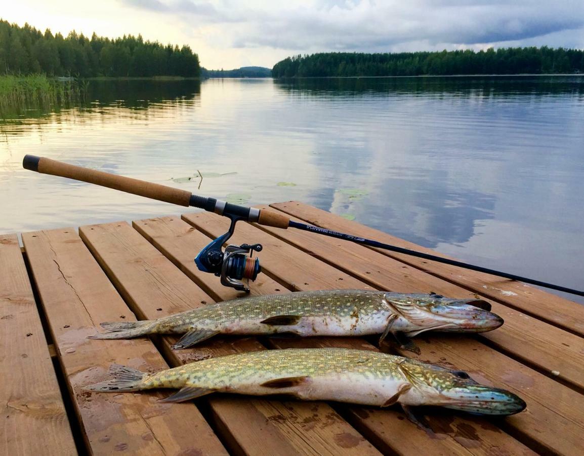 Valentin Cottage Enonkoski ภายนอก รูปภาพ