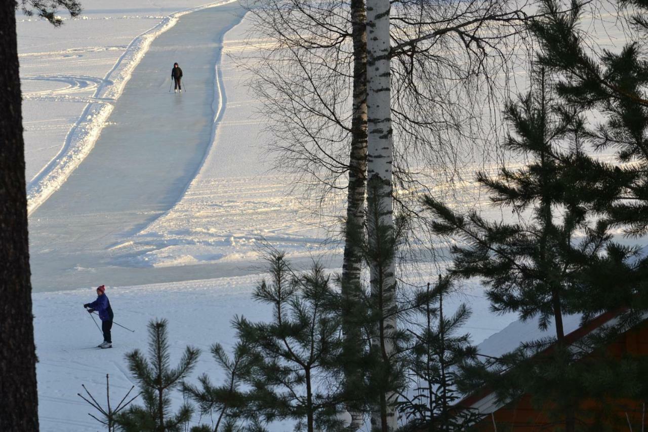 Valentin Cottage Enonkoski ภายนอก รูปภาพ