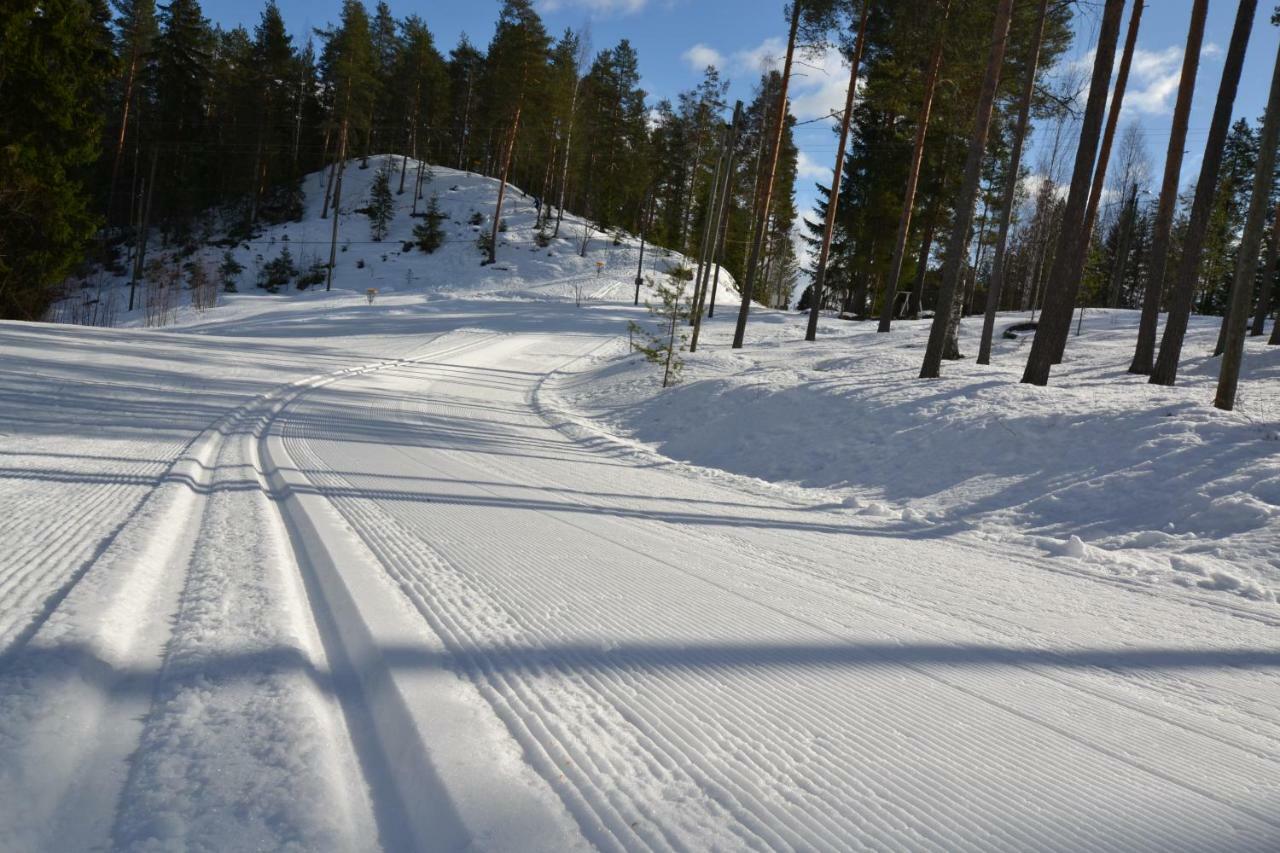 Valentin Cottage Enonkoski ภายนอก รูปภาพ